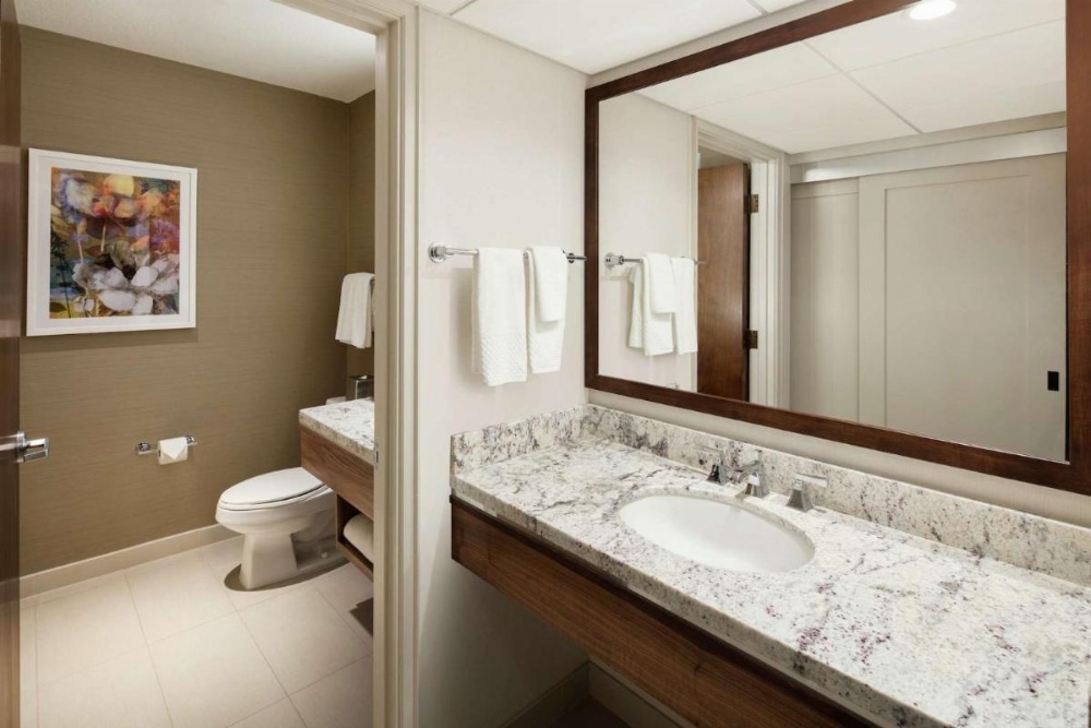 DoubleTree By Hilton Hotel Ontario Airport Image 18